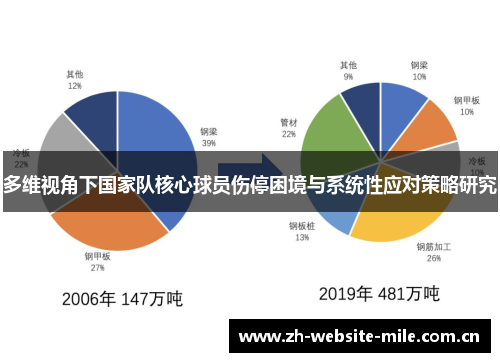多维视角下国家队核心球员伤停困境与系统性应对策略研究
